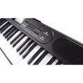Teclado Harmonics Ha-500 Musical