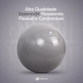 Bola Pilates Suíça Yoga 65cm Ginástica Alta Performance Essencefit