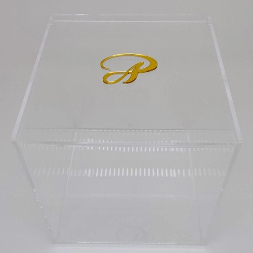 Caixa Seringas da semana - Logo alto relevo inicial ou desenho