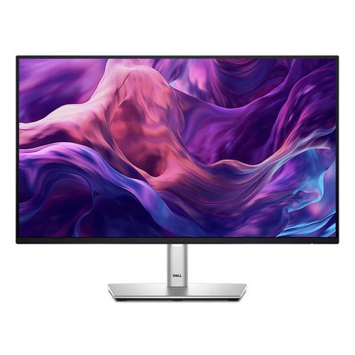 Monitor Dell Csg P2425h 23,8 Preto - 210-bcdo-cp114