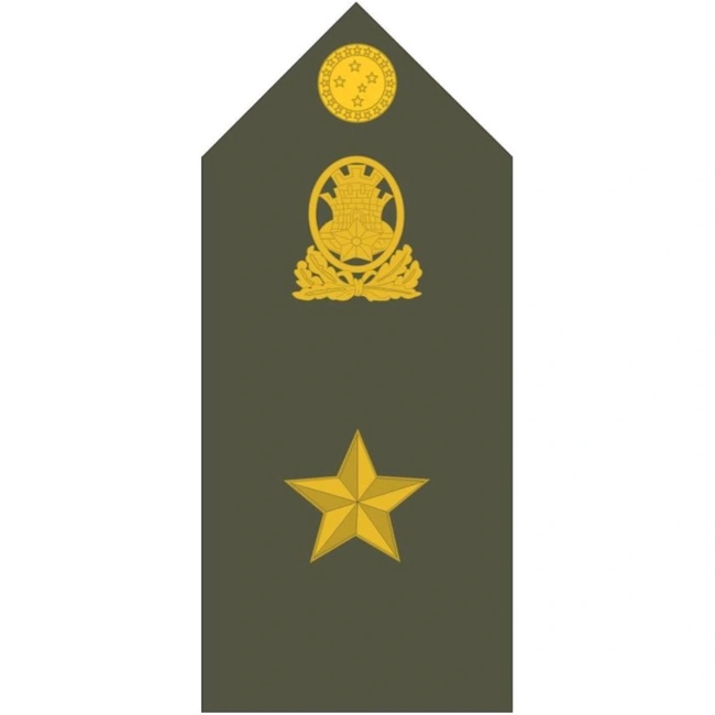 Platinas do Exército Brasileiro (Par)