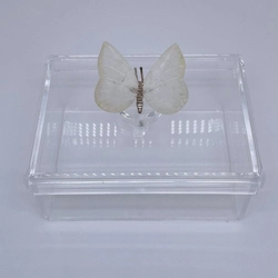 Caixa P tampa removível Borboleta Quartzo