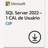 Sql Server 2022 Microsoft 1 Usuário Cal Perpétuo Csp - Dg7gmgf0mf3t-002