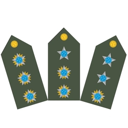Platinas do Exército Brasileiro (Par)