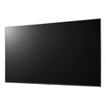 Monitor Profissional Lg 55
