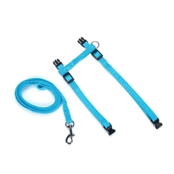 Kit Guia e Peitoral Ajustável para Gatos Azul