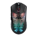 Mouse Gamer Evolut Keppni-V2 PRO RGB - EG111