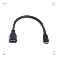 ADAPTADOR OTG USB TIPO C PARA USB FEMEA - AUSBOTG