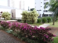 Apartamento para alugar, 2 dormitórios, sala estendida, 1 vaga – Aurora, Londrina