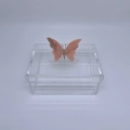Caixa P Borboleta e logo - Logo alto relevo inicial ou desenho