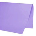 Papel Cartolina Dupla Face Color Set 48x66cm Lilas Scrity