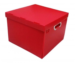 CAIXA ORGANIZADORA POLIONDA G VERMELHA