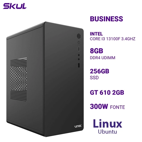 Computador B300 Core I3 13100f 3.4ghz Memória 8gb Ddr4 Ssd 256gb Gt 610 2gb Fonte 300w  Linux Ubuntu
