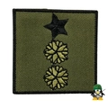 Tenente Coronel