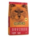 SP CAT CARNE 20KG
