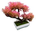 Bonsai Decorativo Artificial Pinheiro Japonês Elegância