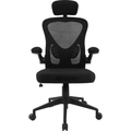 Cadeira De Escritório Ergonômica Fortrek Ergo Base Ajustável Preta