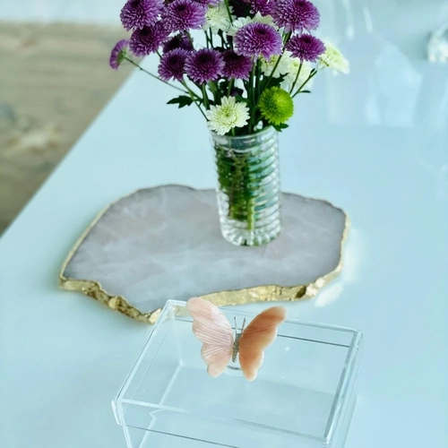 Caixa P tampa removível Borboleta