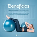 Bola Pilates Suiça Yoga 65cm Ginástica Abdominal e Muscular Essencefit