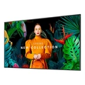 Monitor Profissional Samsung 4k 55" Qm55c - Lh55qmcebgcxzd