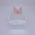 Caixa M Borboleta Quartzo
