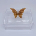 Caixa P tampa removível Borboleta