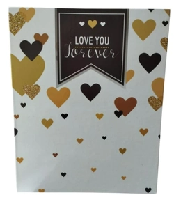 Álbum 10X15 P/200F. Love WB-46200-583 folhas branca transparente