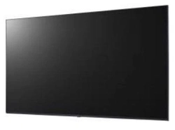 Monitor Profissional Lg Led 43