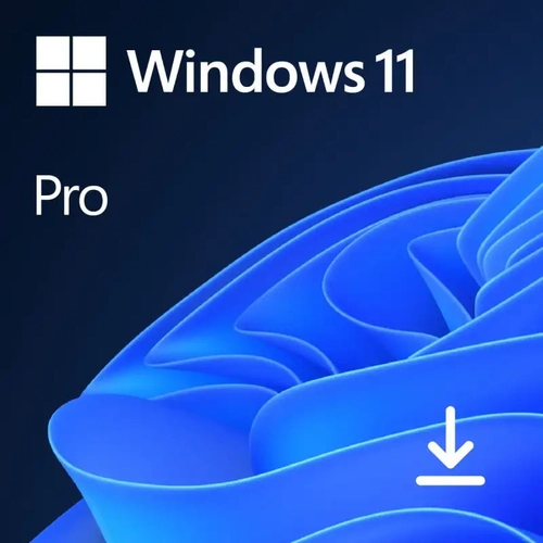 Windows 11 Pro Microsoft 64 Bit Esd Fqc-10572