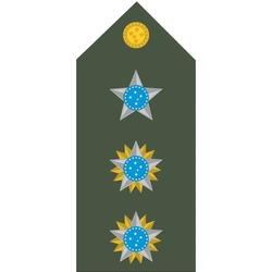 Platinas do Exército Brasileiro (Par)