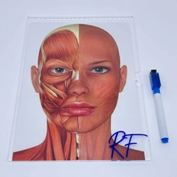 Display com foto impressa - Logo alto relevo inicial ou desenho