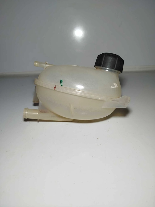 RESERVATORIO AGUA RADIADOR OROCH DYN 1.6 SCE 2022 (Id:10690)