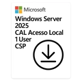 Windows Server 2025 Microsoft Cal Acesso Local 1 Usuário Perpétuo Csp - Dg7gmgf0pwht-002