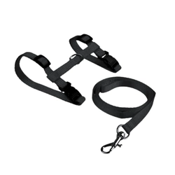 Kit Guia e Peitoral Ajustável para Gatos  Preto