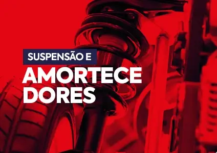 Suspensão e amortece dores