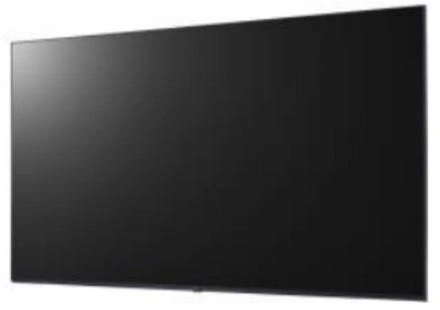 Monitor Profissional Lg 55