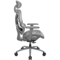Cadeira Ergonômica Thunderx3 Xtc Mesh Cinza