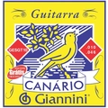 Encordoamento para Guitarra Canario .010 - Gesgt10