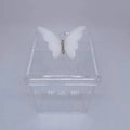 Caixa M Borboleta