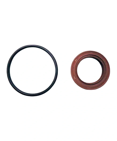 REPARO COMMON RAIL CP3 LINHA 010 (ANEL+RET25M
