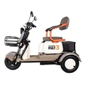 Triciclo Eletrico Mult 3 Wx-T02 Wehawk 650w Bat 60v 20ah 3 Lugares Branco/Marrom