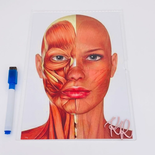 Display com foto impressa - Logo alto relevo inicial ou desenho