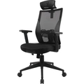 Cadeira Ergonômica Fortrek Ergo Shield Mesh Preta - 85033