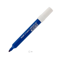 Pincel Hidrográfico Color 850 Jr Azul Pilot